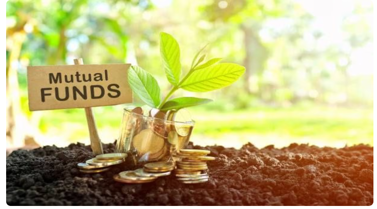Mutual Fund Investment Advisor Salem